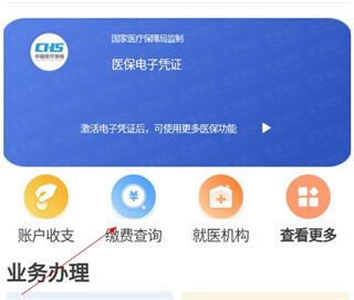 贵州医保服务平台app下载,贵州医保,医保app,贵州app