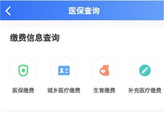 贵州医保服务平台app下载,贵州医保,医保app,贵州app